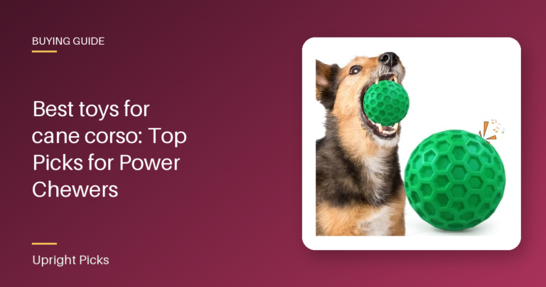Best toys for cane corso: Top Picks for Power Chewers