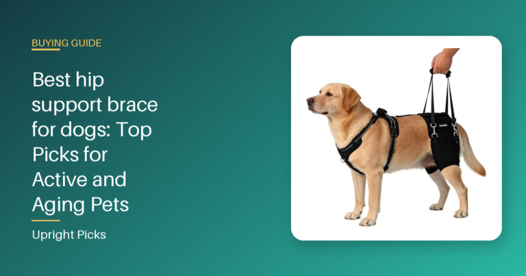 Best hip support brace for dogs: Top Picks for Active and Aging Pets