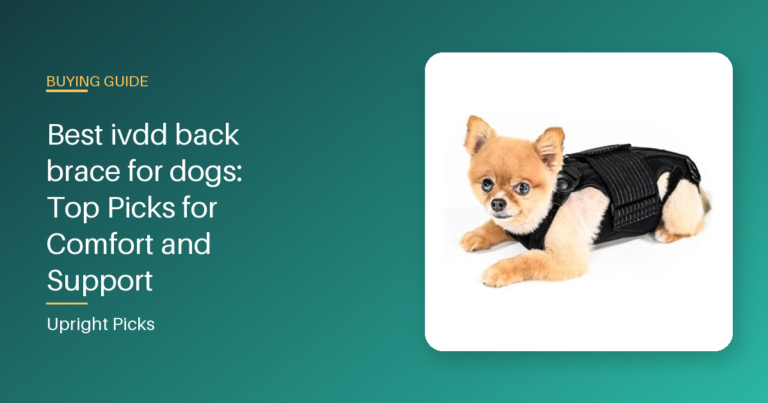 Best ivdd back brace for dogs: Top Picks for Comfort and Support